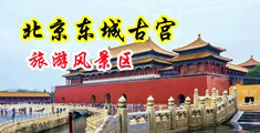 淫乱嗷嗷四房波波中国北京-东城古宫旅游风景区